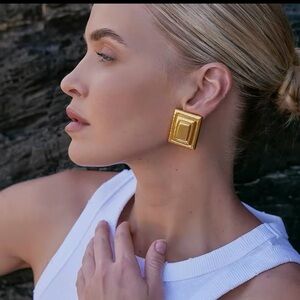 Aureum Sleek Statement Earrings